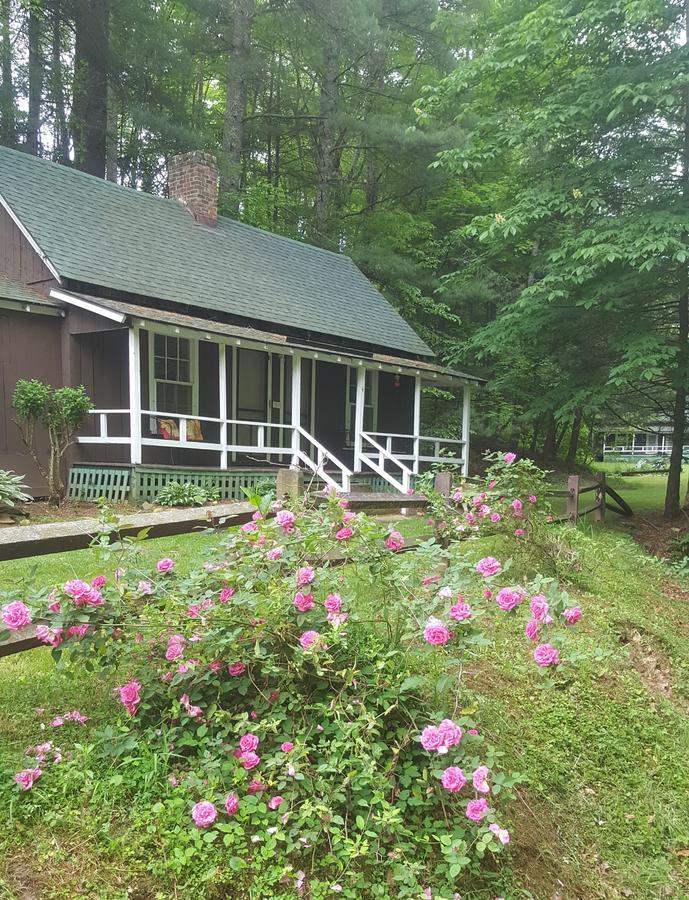 The Cabins At Healing Springs Crumpler Exterior foto